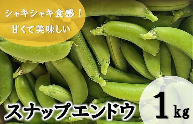 y{茧szyԌ蔭z  XibvGhE 1kg [_ {茧 s 452061219] XibNGhE Y