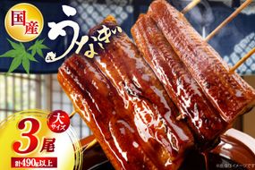 うなぎ 国産 日向うなぎ 蒲焼 大 3尾 計490g以上 [日向サンパーク 宮崎県 日向市 452061759] セット 小分け 鰻 ウナギ うなぎの蒲焼 蒲焼 蒲焼き ◎