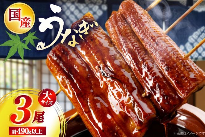 うなぎ 国産 日向うなぎ 蒲焼 大 3尾 計490g以上 [日向サンパーク 宮崎県 日向市 452061759] セット 小分け 鰻 ウナギ うなぎの蒲焼 蒲焼 蒲焼き ◎