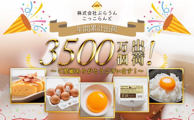 たまご コロンブスの茶卵 6個入×5P 卵 生卵 茶卵 濃厚 卵黄 卵白 生臭みなし 透明感 卵かけご飯 たまご 玉子 朝ごはん オムライス 鶏卵 国産 kl-0004