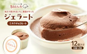 ジェラート チョコ 12個 アイス アイスクリーム スイーツ お菓子 菓子 おやつ 兵庫県 加西市
