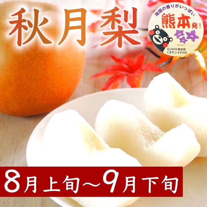 定期便3回 梨 約1.8kg×3回 計約5.4kg 豊水 秋月 新高 8月～10月出荷【梨 なし 果物 フルーツ デザート 食後 熊本県産】※配送不可：離島