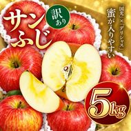 訳あり りんご サンふじ 令和8年11月下旬発送 信州のサンふじ 訳あり 約5キロ！（りんご・リンゴ・林檎）伊那市 長野県 信州【010-a3】
