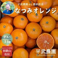 農家直送！なつみオレンジ 3kg 訳あり≪サイズ混合≫【平武農園】～蛍飛ぶ町から旬の便り～ BX25
