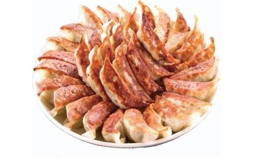 【4ヶ月定期便】ゆきむら壱番亭の肉餃子10パック(160個入り) ※離島への配送不可