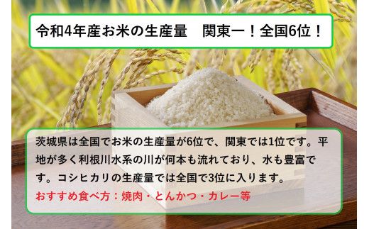 令和8年産 茨城コシヒカリ 10kg（5kg×2袋）【お米・コシヒカリ・米・10kg】