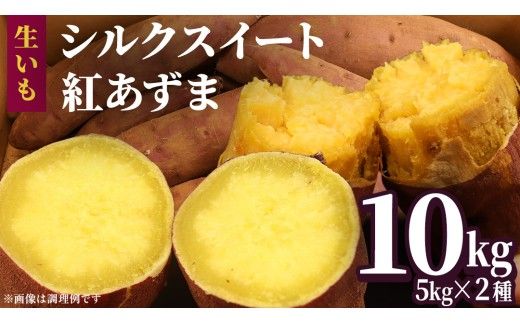 さつまいも 【 選べる品種 】 5kg / 10kg ( 箱込 ) サツマイモ さつま芋 芋 いも 野菜 焼き芋 スイーツ おやつ 国産 シルクスイート 紅はるか 紅あずま ふくむらさき ほしあかね