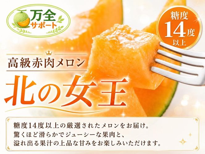 〈先行受付〉【2027年夏発送】北海道 赤肉メロン 北の女王 青肉メロン 月雫 秀品 約1.6kg 各1玉 令和9年 メロン 果物 フルーツ 旬 希少 甘い 豊潤 国産 産地直送 ギフト お祝い 贈答品 贈り物 お中元 お取り寄せ 送料無料 