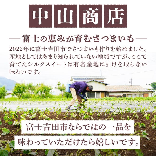 サツマイモ（シルクスイート）2kg　さつまいも 富士シルク 野菜 根菜 焼き芋 ふかし芋 国産 富士吉田市産 山梨 富士吉田