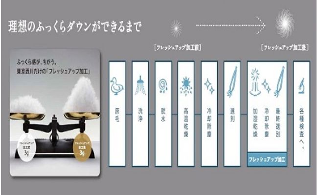 【nishikawa/西川】羽毛ふとん/ポーリッシュマザーホワイトグースダウン95％/シングル【P063W】（滋賀県　近江八幡市）