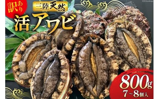 海鮮 訳あり 三陸産 活アワビ 800g (7〜8個) [マルヤ五洋水産 宮城県 南三陸町 30al0006] 魚介類 あわび 鮑 天然 蝦夷あわび 貝 冷蔵 刺身 刺し身 活き ステーキ