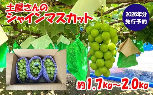 yRxm쒬zy2026N s\zỹVC}XJbg(1.7`2.0kg 3`4[) VC }XJbg xm쒬Y Yn t[c ʕ  uhE Ԃǂ  ܂Ȃ R st ߘa8N