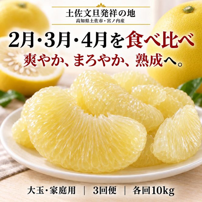 土佐文旦 大玉 定期便 全3回 各回10kg 合計30kg 家庭用 日本ギフト大賞受賞 文旦発祥の地 園主こだわり 2月 3月 4月 食べ比べ 高知県土佐市産 高知県産 国産 10キロ ぶんたん みかん 柑橘類 高級フルーツ 果物 産地直送 お取り寄せ ギフト 先行予約 やの一果彩[BQAC010]