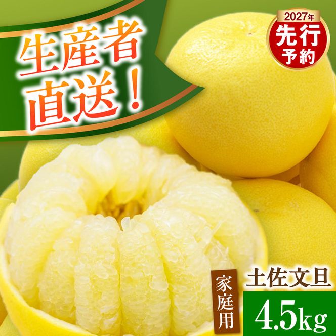 【先行予約】生産者直送 土佐文旦 約4.5kg [サイズおまかせ 2L～4L] 家庭用＜2027年1月下旬より発送＞  家庭用 文旦 柑橘 みかん フルーツ 果物 産地直送 お取り寄せ【土佐文旦産直協同組合】