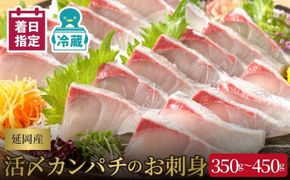 延岡産活〆カンパチのお刺身 N019-YA2258