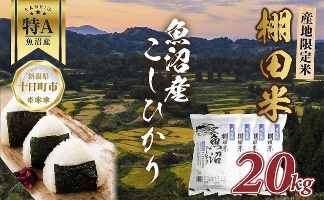 棚田米 魚沼産 コシヒカリ 20kg 新潟県 十日町市 松代地区 限定 棚田 こしひかり （お米屋秘伝！美味しいご飯の炊き方ガイド付き） 精米 ブランド米 銘柄米 