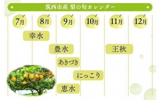 【 JA 北つくば 】 筑西ブランド 認証品 豊水 10kg 2026年産 先行予約 梨 果物 フルーツ なし ナシ 豊水梨 くだもの デザート 茨城 [AE011ci]
