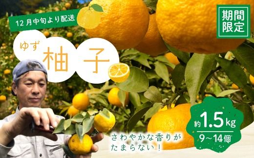 yml\sz䂸  1.5kg 9`14 mY l\sY p Mtg y t ʌ zs \ Mq Y k t[c ʕ m m l\s l\ ܂Ɓy 2025N 12{` 2026N 1{z25-1008