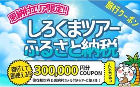 【恩納村】しろくまツアーで利用可能なWEB旅行クーポン（300,000円分）