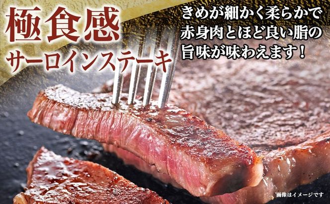 宮崎牛サーロインステーキ200g×2枚_18-4201