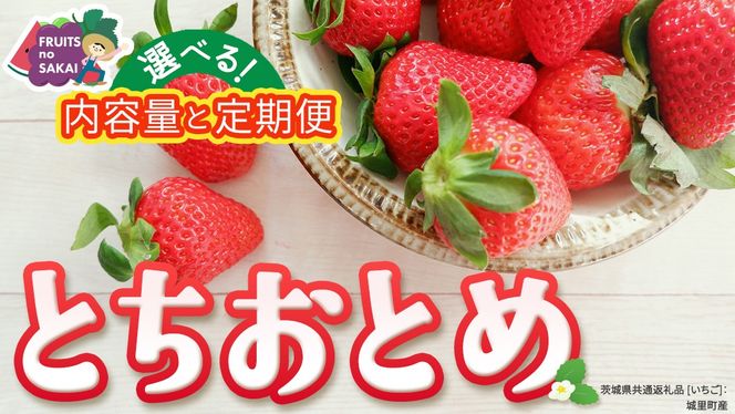 ＼選べる 内容量・発送方法／とちおとめ 約250g（15～18粒）2パック または 4パック 単品・定期便 3か月【2026年12月から発送開始】（茨城県共通返礼品 [いちご]：城里町産） 茨城県 県産 人気 厳選 果物 くだもの 旬 旬の果物 旬のフルーツ ギフト 贈答 いちご イチゴ 苺 とちおとめ
