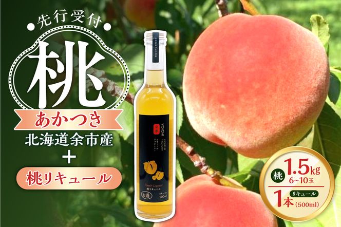 【2026年産 先行予約】＜北海道余市産＞桃＆桃リキュールのセット_Y103-0062