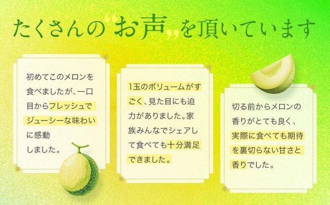 御前崎市産アローマメロン（白）2玉入り 222232_AQ004