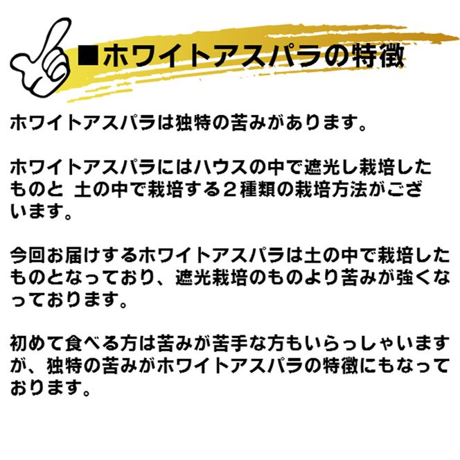 【2026年春発送】訳あり ホワイト アスパラ サイズ混合 【1kg】65本前後 富良野産 アスパラガス 大容量