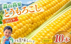 【先行予約】 朝採れ 蒜山高原 とうもろこし イエロー10本 | 7月下旬～8月上旬頃出荷予定 数量限定 人気 新鮮 スイートコーン トウモロコシ 高糖度 甘い 夏野菜 岡山県 真庭市 産地直送 ギフト 【配送不可地域：北海道／沖縄県／離島】【jujy001-02】