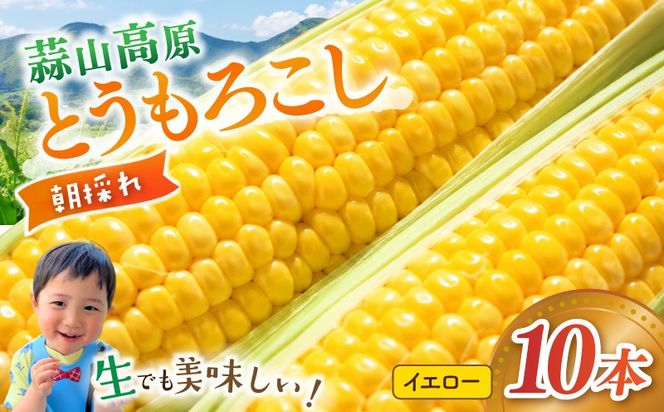 【先行予約】 朝採れ 蒜山高原 とうもろこし イエロー10本 | 7月下旬～8月上旬頃出荷予定 数量限定 人気 新鮮 スイートコーン トウモロコシ 高糖度 甘い 夏野菜 岡山県 真庭市 産地直送 ギフト 【配送不可地域：北海道／沖縄県／離島】【jujy001-02】