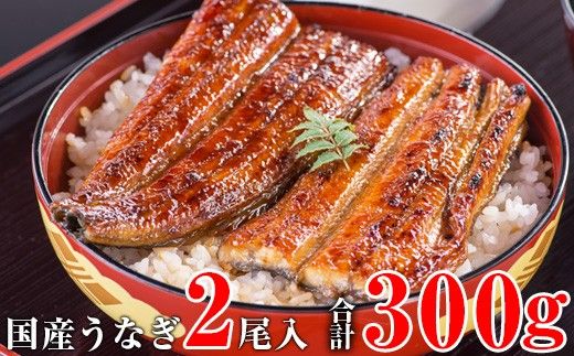 1166.【丑の日用】国産うなぎ蒲焼き大サイズ2本セット(A1166-1) 