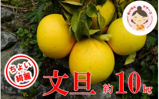 【ちょいキレ】あいなんマザーズの文旦10kg