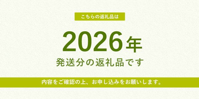 【2026年発送 先行予約】山梨県産 シャインマスカット 【選べる容量 1.2kg以上/3kg】期間限定 フルーツ 果物 山梨 富士吉田
