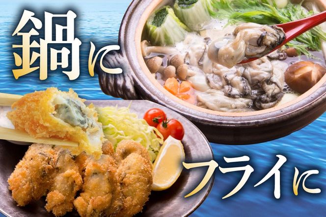 【期間限定発送】 牡蠣 むき身 生食用 500g✕2p 計1kg (約30‐50個入) [住喜水産 宮城県 気仙沼市 20566382] 期間限定 冷蔵 新鮮 濃厚 真牡蠣 カキ かき 生牡蠣 魚貝類 生牡蠣 貝 海鮮 魚介類 なべ カキフライ 牡蠣ご飯 魚介