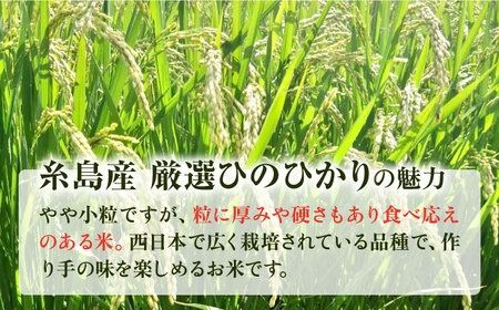 【年内発送】【令和7年産新米】 いとし米 厳選ひのひかり10kg (糸島産) 糸島市 / 三島商店[AIM045] 米 お米 ご飯 白米 ひのひかり ひのひかり 九州 福岡