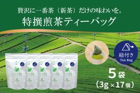お茶 ティーバッグ 特撰 みやざき煎茶 紐付き 5袋 セット [谷岩茶舗 宮崎県 日向市 452061627] ティーパック 茶 茶葉 緑茶 新茶 お茶の葉