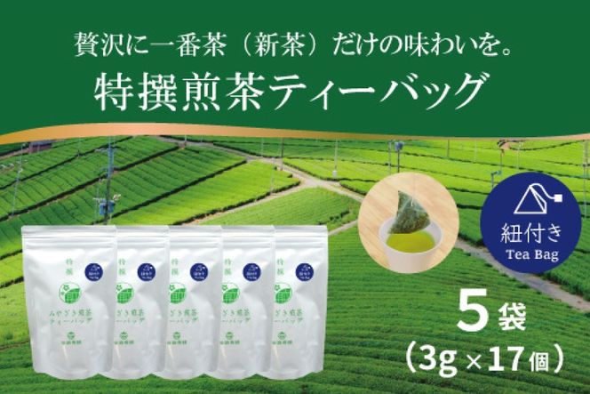 お茶 ティーバッグ 特撰 みやざき煎茶 紐付き 5袋 セット [谷岩茶舗 宮崎県 日向市 452061627] ティーパック 茶 茶葉 緑茶 新茶 お茶の葉