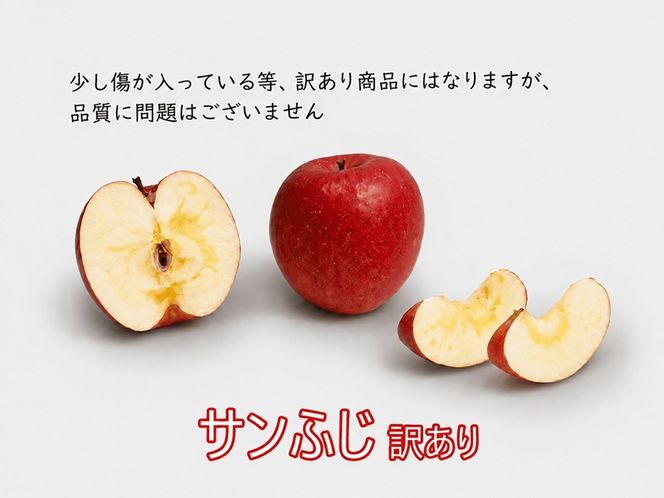 《先行予約》 りんご 訳あり サンふじ 青森県産 約 5kg  (12～22玉） 家庭用 フルーツ 果物 ふじ 産地直送 お取り寄せ 送料無料 青森県 鰺ヶ沢町 《西樹園》