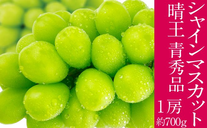 2026年予約受付中 シャインマスカット 晴王 7月～8月出荷 1房 約700g  人気 岡山県産 種無し 皮ごと食べる みずみずしい  フレッシュ 晴れの国 おかやま 果物大国 ハレノフルーツ