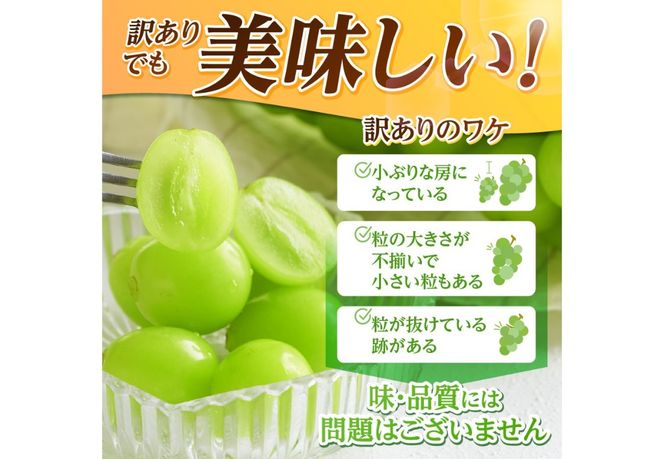 【2026年発送 先行予約】訳あり シャインマスカット 【選べる容量】 1kg （2～3房） 1.5kg （3～4房） 果物 旬 高級 フルーツ シャイン ぶどう 山梨 富士吉田