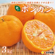 数量限定 順次発送 お試し用 訳あり ポンカン 3kg 7000円 みかん mikan 蜜柑 ミカン わけあり ぽんかん 産地直送 国産 農家直送 糖度 期間限定 特産品 ゼリー ジュース アイス 冷凍 みかん 等に 人気 限定 甘い フルーツ 果物 柑橘 ジューシー 小玉 含む 規格外 サイズ ミックス お試し 試供品 お試し品 少量 吉田農園 愛南町 愛媛県
