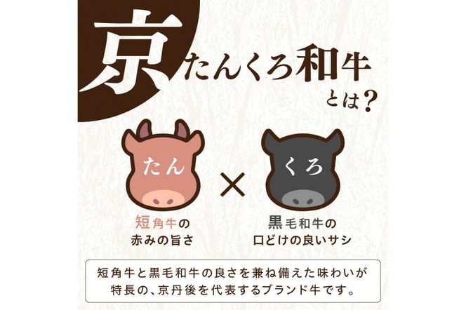 【年末（12月27日～30日）配送】塩で食べるやわらかハンバーグ（デミグラスソース付） NH00042_12e