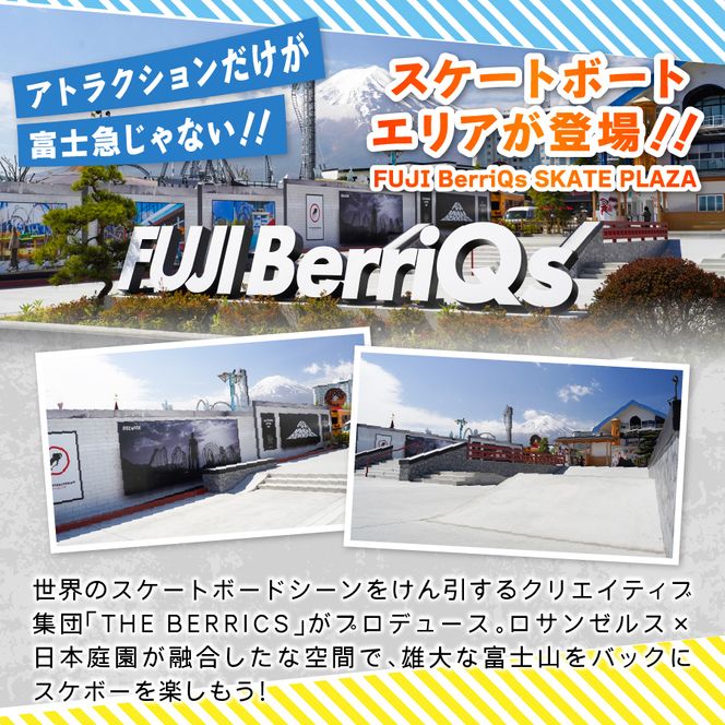 【 富士急ハイランド 】 ワンデイパス ペアチケット 富士急ハイランド 遊園地 テーマパーク