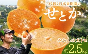 【先行予約】石本果樹園の美味しいせとか 約2.5kg 9～15玉【2026年2月中旬から3月中旬までに順次発送】 / みかん フルーツ くだもの 果物 せとか 【min004A】