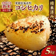 【R7年産新米】愛媛県産 コシヒカリ 5kg ｜ ご飯 白米 お米 令和7年産 5kg 10kg 20kg 精米済み ※2025年10月上旬～12月下旬頃に順次発送予定 ※離島への配送不可
