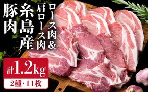 【合計11枚】とんかつ用セット 糸島産豚ロース肉 約100g×6枚 / 肩ロース 約120g×5枚 豚肉 《糸島》【糸島ミートデリ工房】 [ACA228]