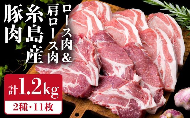 【合計11枚】とんかつ用セット 糸島産豚ロース肉 約100g×6枚 / 肩ロース 約120g×5枚 豚肉 《糸島》【糸島ミートデリ工房】 [ACA228]