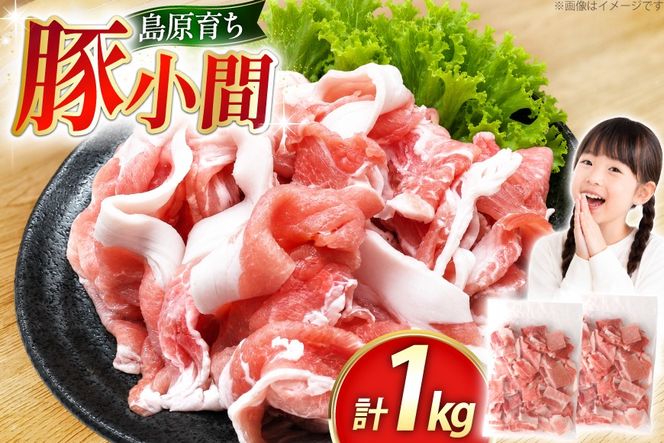 AK028 豚小間 500g 2パック 計1kg [ 豚肉 小分け 豚こま こま切れ 肉 お肉 BBQ バーベキュー 焼肉 アウトドア 1キロ スターゼン 長崎県 島原市 ]