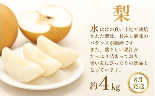 【3か月定期便】和歌山産フルーツ定期便！人気の桃・梨・ピオーネ　旬のフルーツを毎月お届け♪【tkb114】