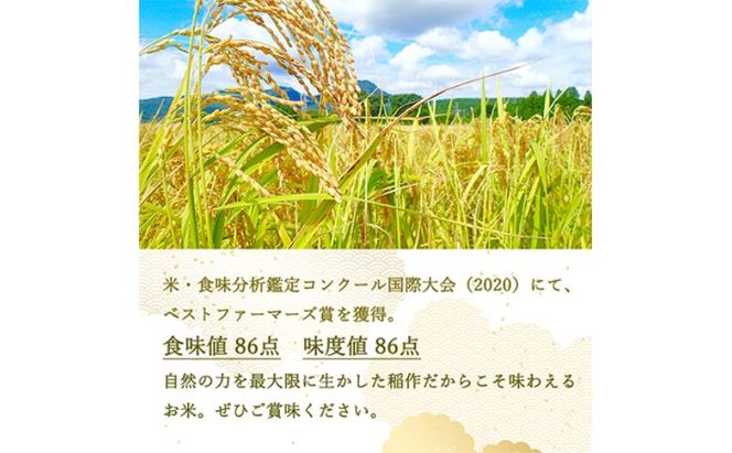 定期便 4ヶ月 ベストファーマーズ賞受賞 いのちの壱 白米 2kg 無農薬 令和7年産 米 お米 チャック付 チャック 小分け  産地直送 長野 定期 4回